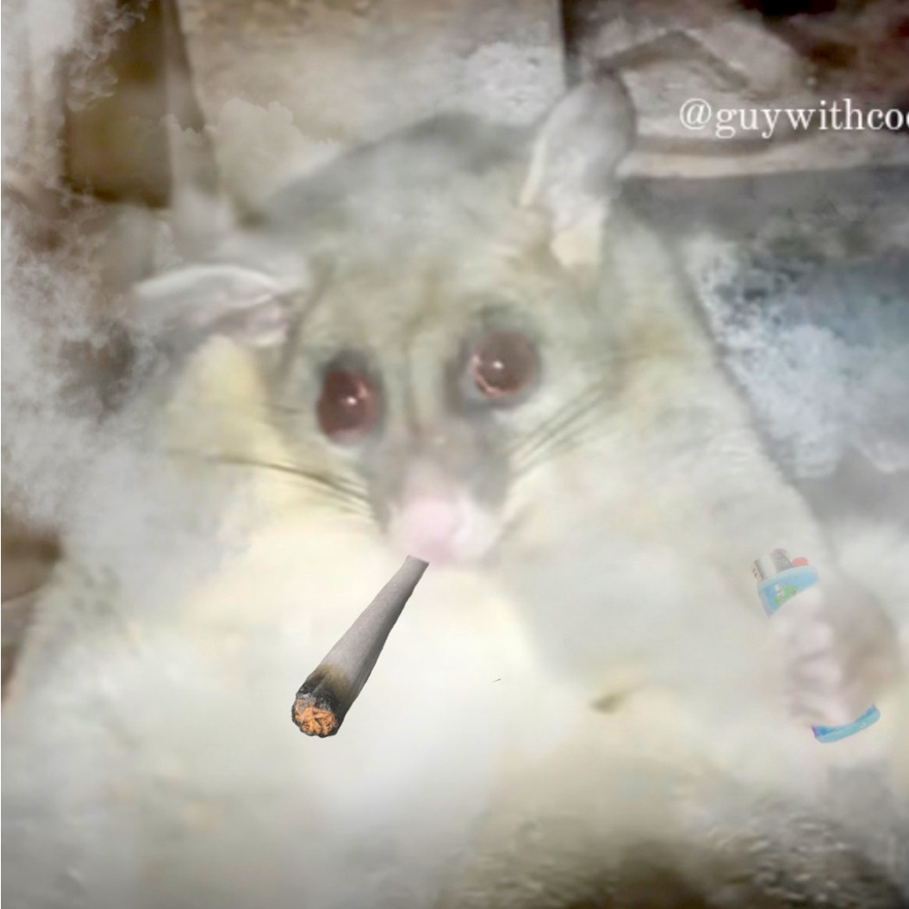 Meet your Posher, Kara